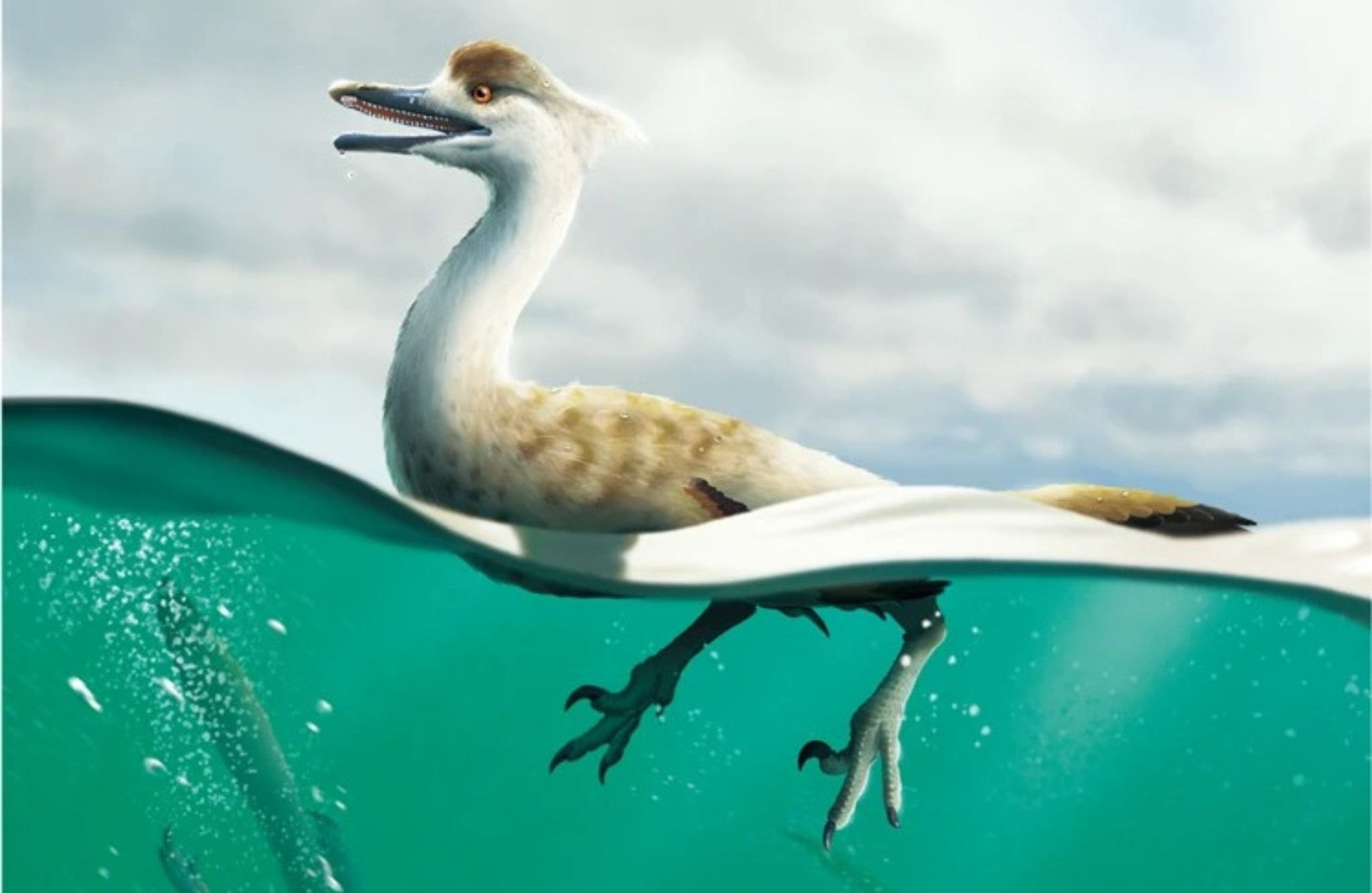 Este dinosaurio tenía cuerpo de pato