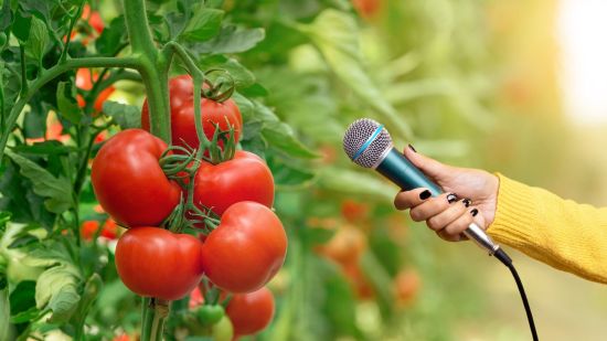 Las plantas 'lloran' cuando sufren (y algunos animales pueden escucharlo)