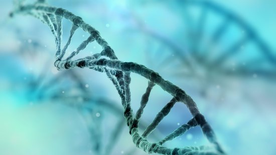 Devolución genética