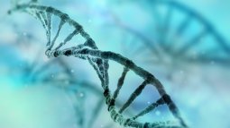 Devolución genética