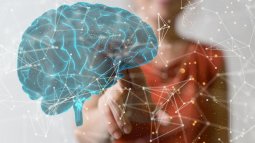 Los humanos somos los seres más inteligentes del planeta, pero ¿a qué precio?