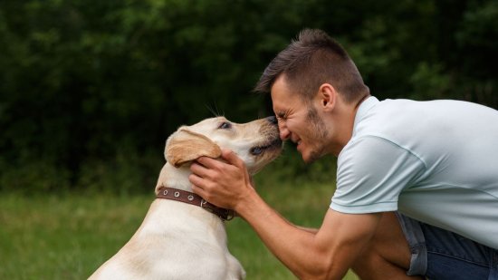 La ciencia explica por qué los hombres reconocen el olor de sus mascotas mejor que las mujeres