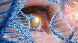 Las bacterias: la pieza secreta que hizo posible la evolución de nuestros ojos