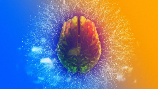 Sincronización del cerebro