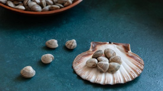 El declive de las chirlas en las costas españolas: ¿una señal de alarma para el medio ambiente?