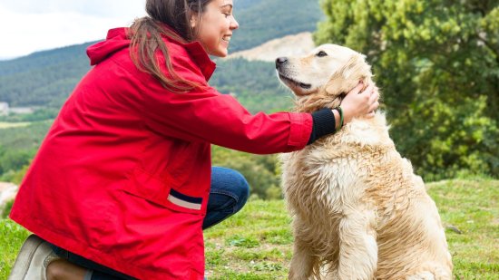 La ciencia detrás de la felicidad canina: los momentos perfectos para acariciar a tu perro