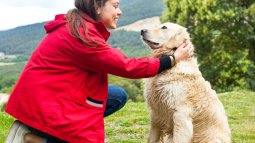 La ciencia detrás de la felicidad canina: los momentos perfectos para acariciar a tu perro