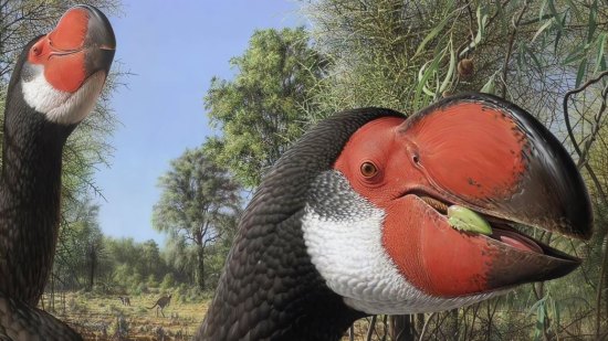 Esta terrorífica ave prehistórica tenía el tamaño de un caballo