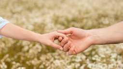 El mejor instrumento del mundo: la mano humana