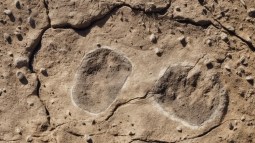 Descubren las huellas humanas más antiguas de Alemania (¡tienen 300.000 años!)