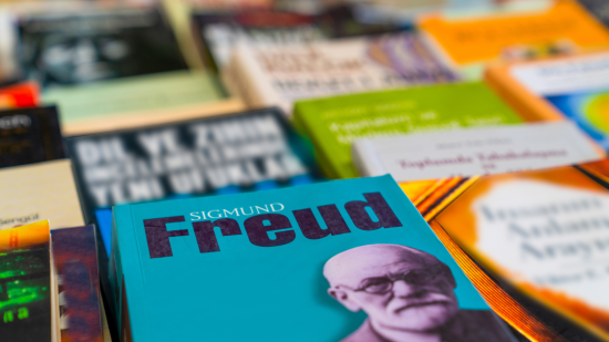 Libro Sigmund Freud