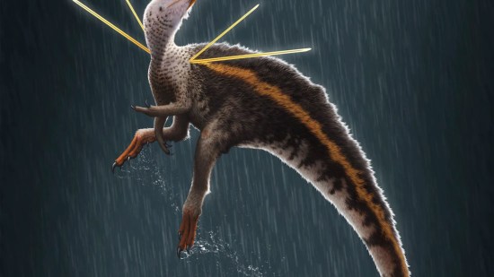 Reconstrucción de Ubirajara