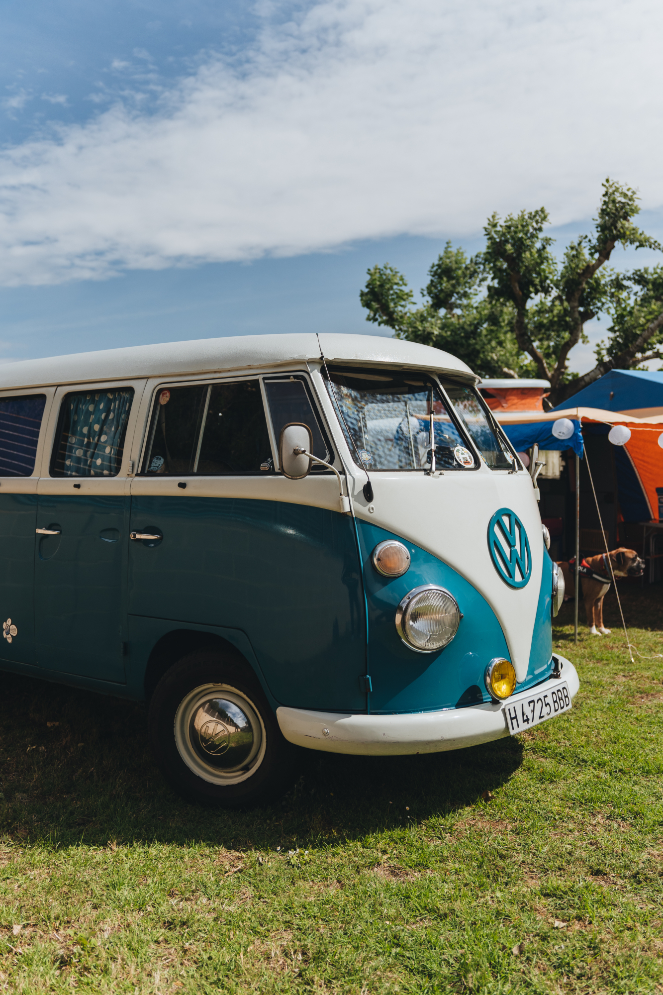 furgovolkswagen2023-24