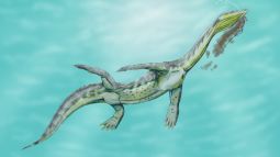 Recreación artística de un reptil marino sauropterigio