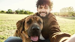 Los secretos de la amistad entre perros y humanos: qué les atrae de nosotros
