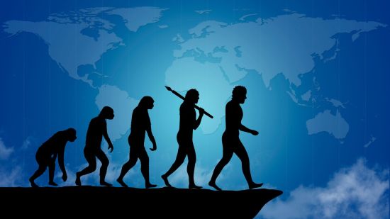 La supervivencia del Homo sapiens: ¿por qué es la única especie humana que queda en el planeta?