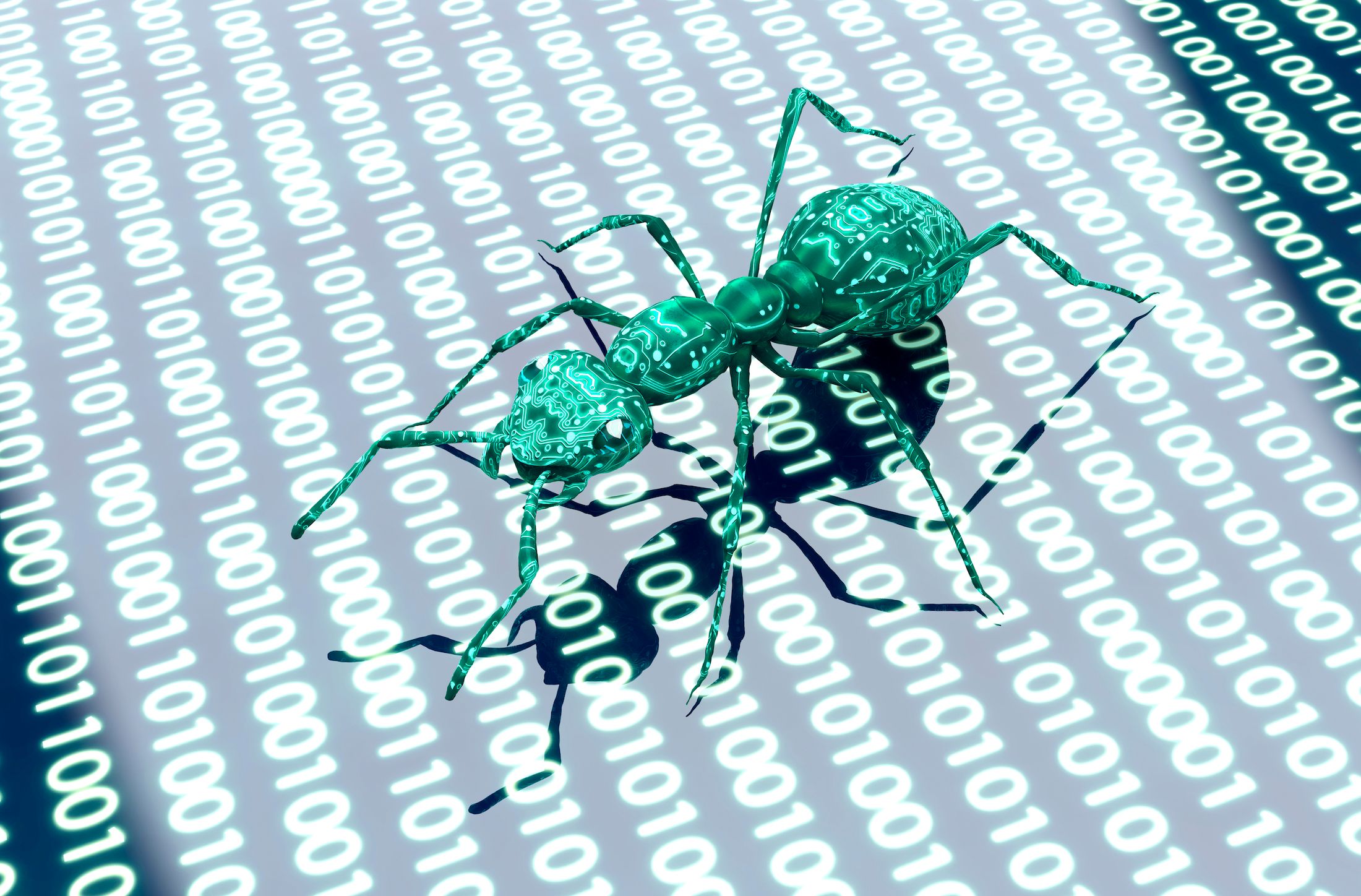 Hormigas y tecnología: cómo el comportamiento de estos insectos puede inspirar avances tecnológicos