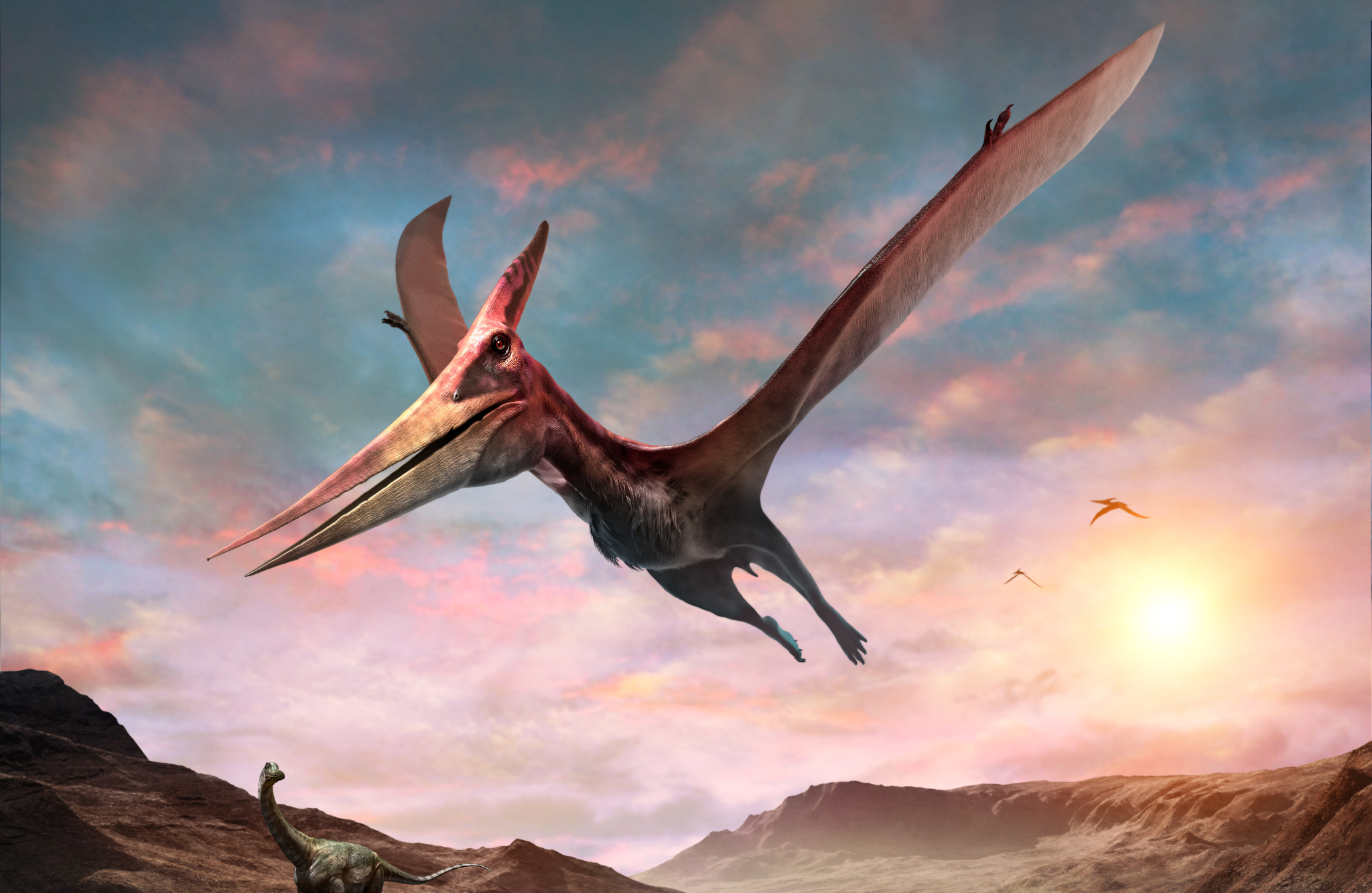 Pterosaurio reptil volador