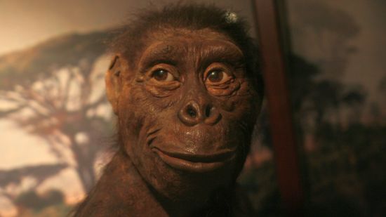 Reconstrucción de “Lucy”