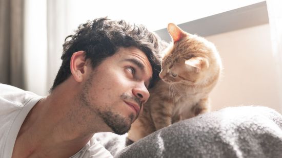 ¿Te entiende tu gato cuando imitas un maullido?