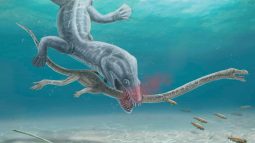 Estos dos reptiles fueron decapitados vivos hace 240 millones de años