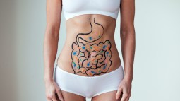 ¿Cuántas bacterias viven en tu intestino? La impresionante diversidad de vida que vive dentro de todos nosotros