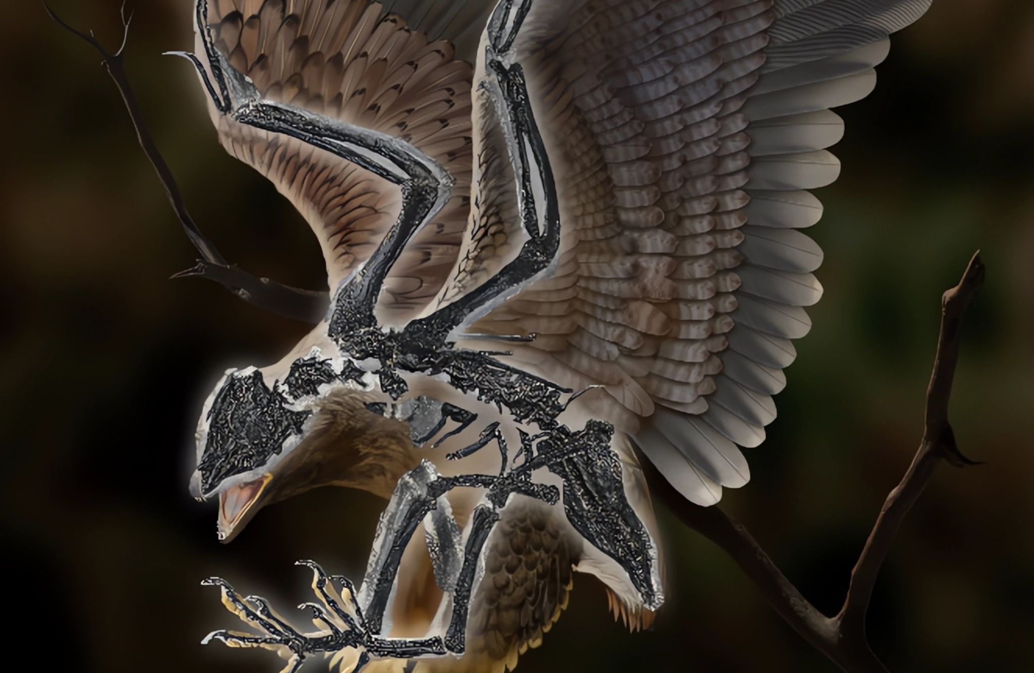 Recreación de Cratonavis zhui