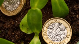 Descubre estas increíbles monedas relacionadas con la naturaleza