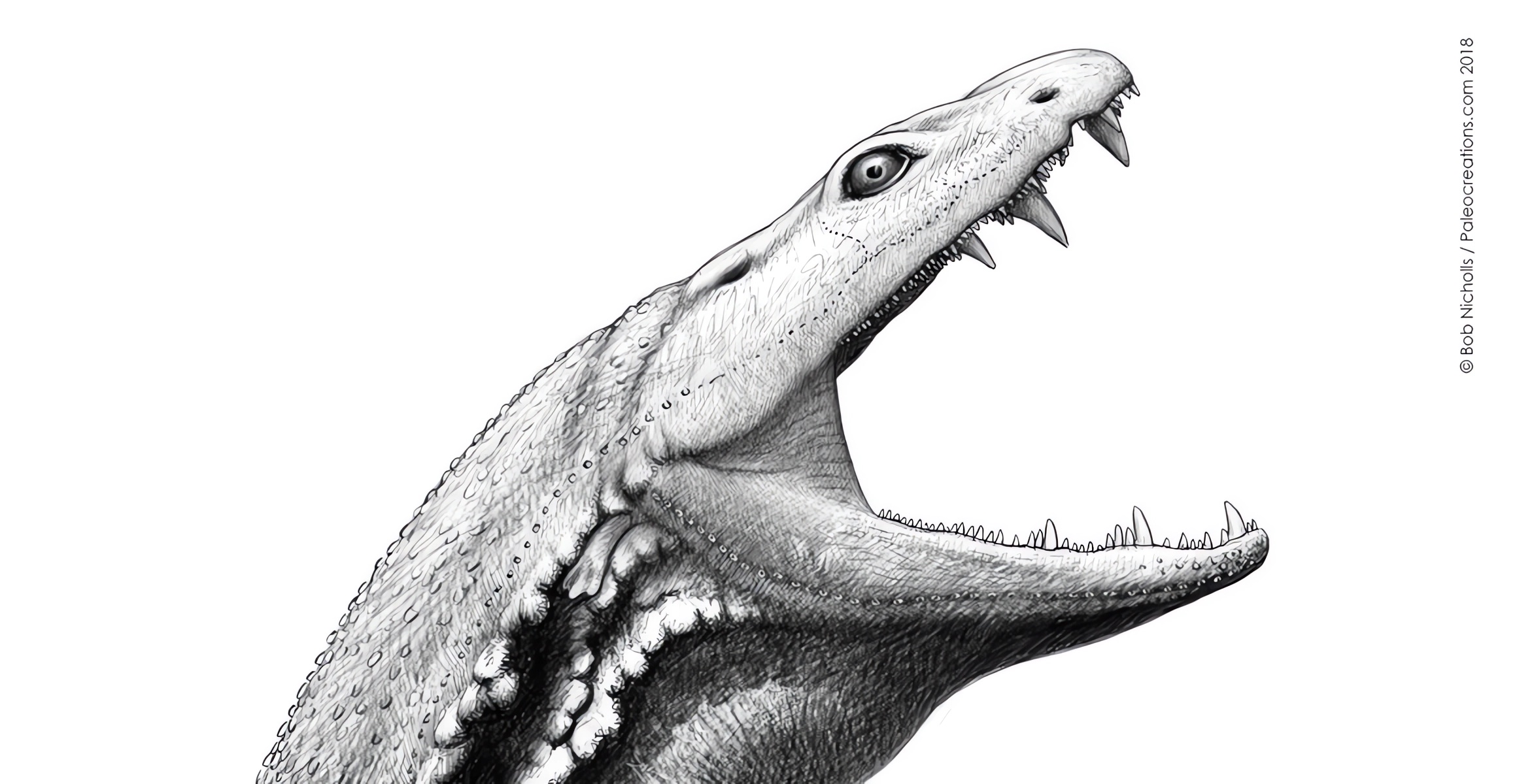 Recreación de Crassigyrinus