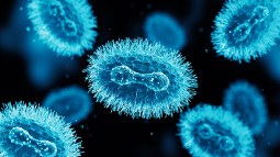 Las leyes de la evolución funcionan más allá de la bioquímica