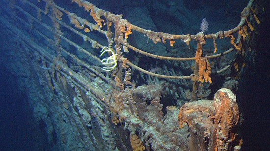 ¿Qué criaturas viven actualmente en el Titanic?