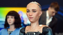 Sophia robot