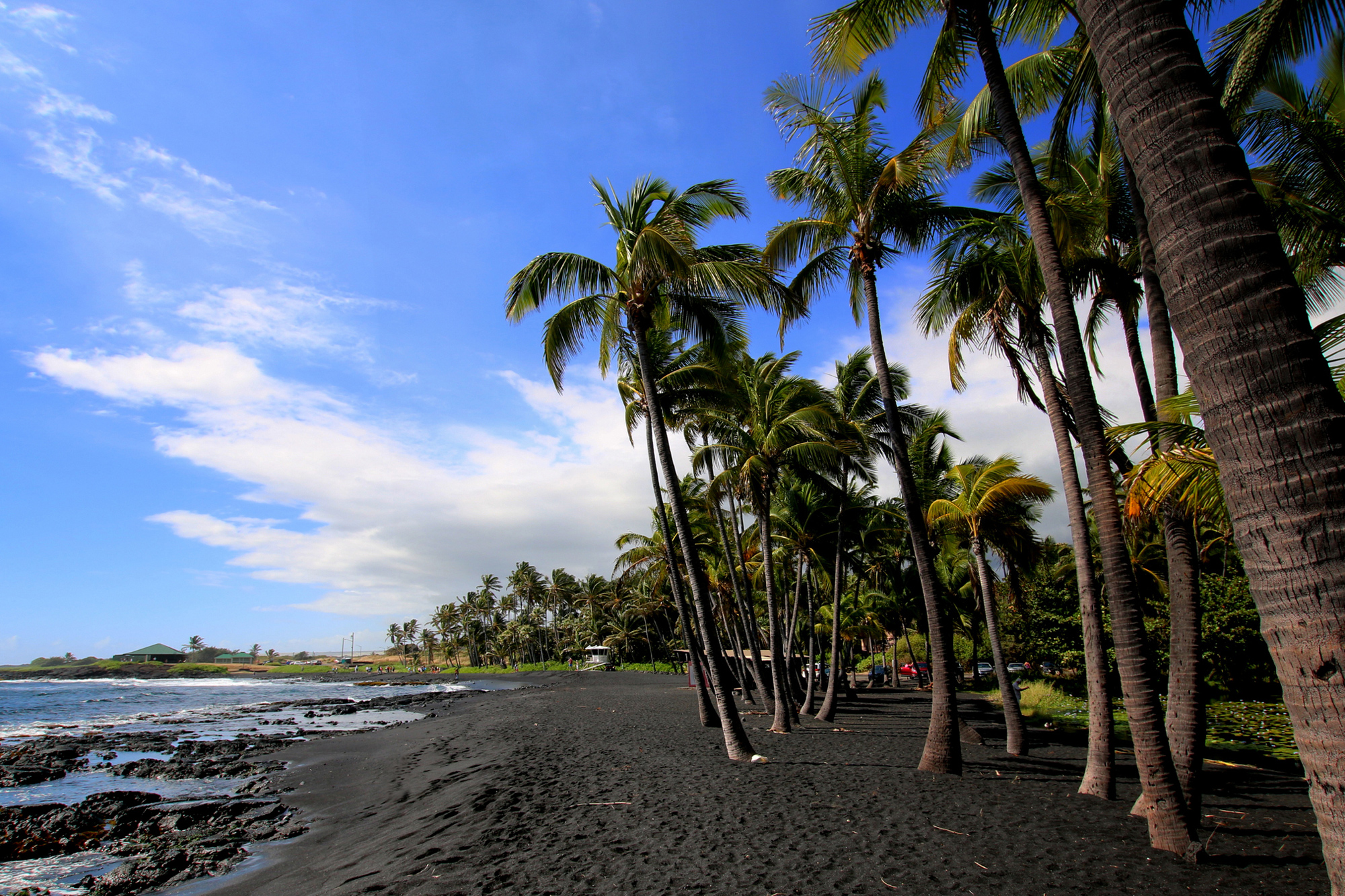 Playa Punalu'u, en Hawái.