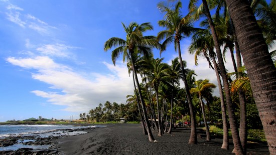 Playa Punalu'u, en Hawái.