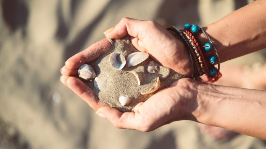 Descubre los animales que se esconden en la arena de la playa