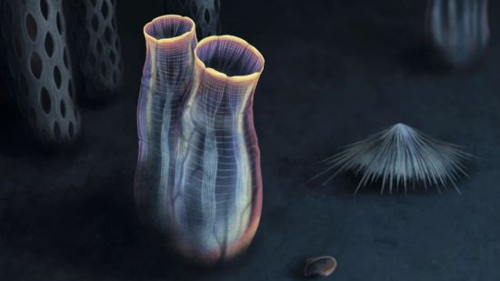 Recreación artística de Megasiphon thylakos