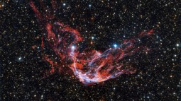 Supernova Chandrasekhar