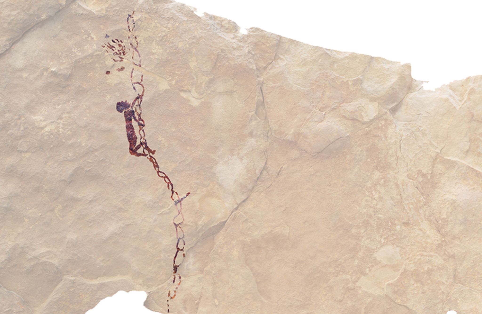 451 - Portada escaleras prehistoria