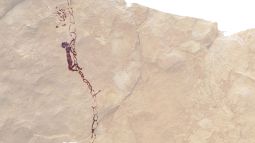 451 - Portada escaleras prehistoria