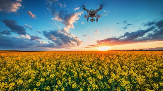 ¿Pueden los robots salvar a las especies en peligro de extinción?