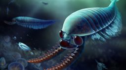 Esta criatura de tres ojos de hace 500 millones de años revela un secreto increíble sobre la evolución