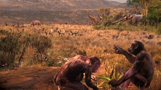 Un nuevo fósil desafía nuevamente la teoría de la evolución humana