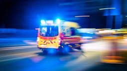 El bastón de Asclepio: la serpiente que representa la profesión médica y adorna las ambulancias