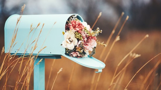 Las mejores flores de este otoño