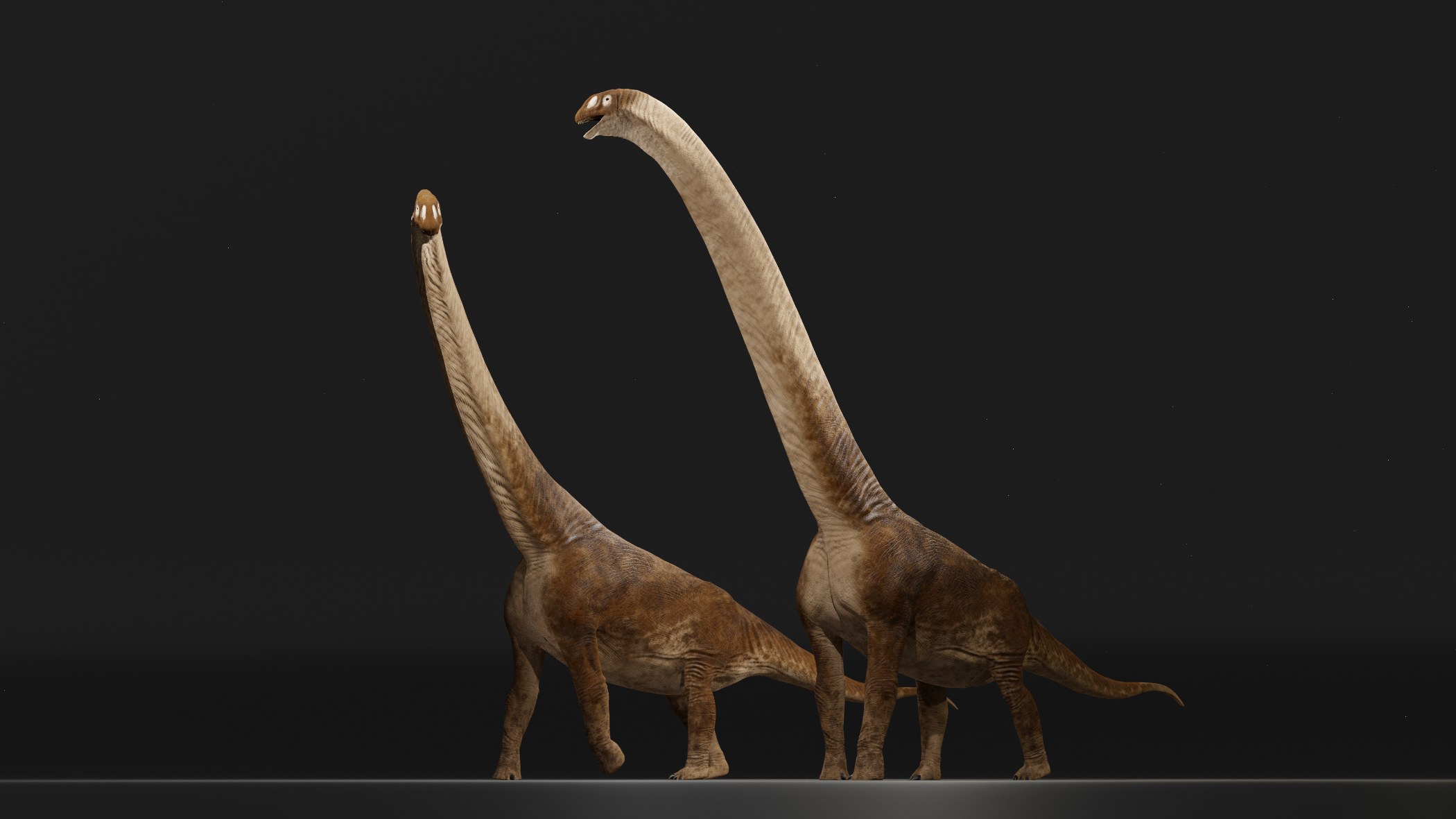 Garumbatitan, el nuevo dinosaurio gigante de Morella (Castellón)