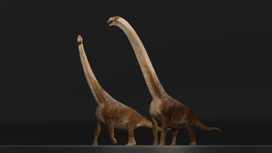 Garumbatitan, el nuevo dinosaurio gigante de Morella (Castellón)