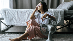 Mejores ventiladores silenciosos