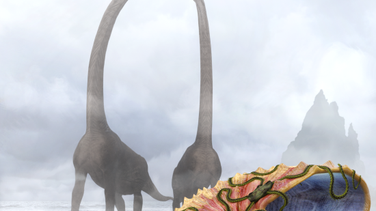 Científicos españoles descubren una nueva especie de invertebrado marino prehistórico