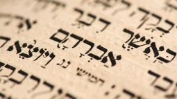 ¿Es lo mismo sionismo, semitismo y judaísmo?