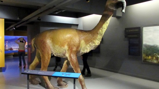 Macreuchenia Star Wars Darwin